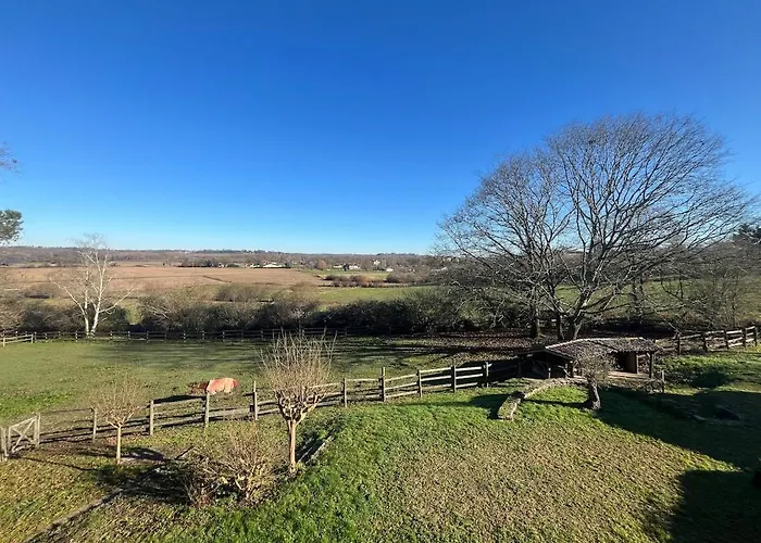 De Monplaisir, * Pomarez